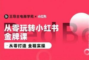 王导主·小红书电商运营实操课,从零打造 全程实操-资源云