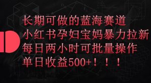 长期可做的蓝海赛道,小红书孕妇宝妈暴力拉新玩法,每日两小时可批量操作,单日收益500+【揭秘】-资源云