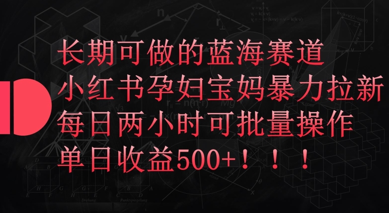 长期可做的蓝海赛道，小红书孕妇宝妈暴力拉新玩法，每日两小时可批量操作，单日收益500+【揭秘】-资源云