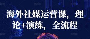 海外社媒运营课，理论+演练，全流程-资源云