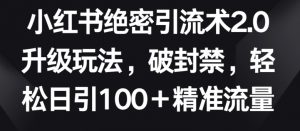 小红书绝密引流术2.0升级玩法，破封禁，轻松日引100+精准流量【揭秘】-资源云
