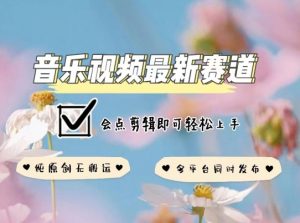 音乐视频赛道最新玩法，纯原创不违规，可所有平台同时发布，会点剪辑即可轻松拿捏【揭秘】-资源云