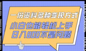 一份资料多种变现方式，小白也能轻松上手，日入800不是问题【揭秘】-资源云