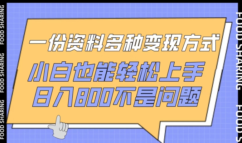 一份资料多种变现方式，小白也能轻松上手，日入800不是问题【揭秘】-资源云