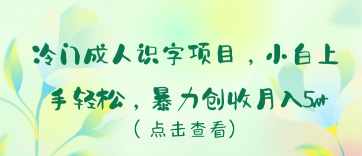 冷门成人识字项目，小白上手轻松，暴力创收月入5w+【揭秘】-资源云