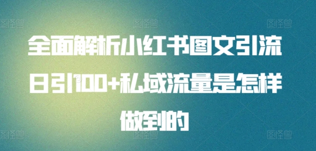 全面解析小红书图文引流日引100+私域流量是怎样做到的【揭秘】-资源云