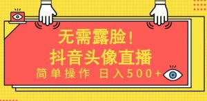 无需露脸,Ai头像直播项目,简单操作日入500+【揭秘】-资源云