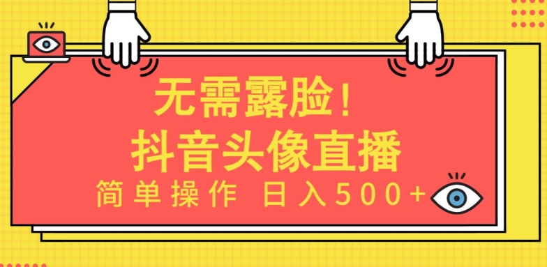 无需露脸，Ai头像直播项目，简单操作日入500+【揭秘】-资源云