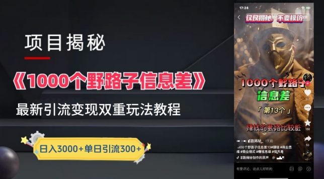 一千个野路子信息差最新玩法教程-变现+引流的玩法具体拆解【揭秘】-资源云