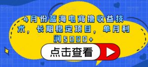 4月份蓝海电商撸收益技术,长期稳定项目,单月利润5000+【揭秘】-资源云