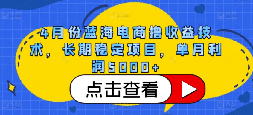 4月份蓝海电商撸收益技术，长期稳定项目，单月利润5000+【揭秘】-资源云