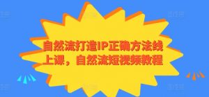 自然流打造IP正确方法线上课，自然流短视频教程-资源云