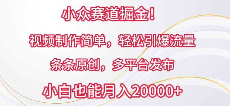 小众赛道掘金，视频制作简单，轻松引爆流量，条条原创，多平台发布【揭秘】-资源云