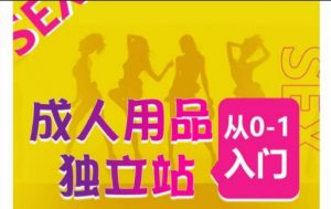成人用品独立站从0-1入门,成品独立站运营全流程教学,七大好卖成品独立站推荐-资源云