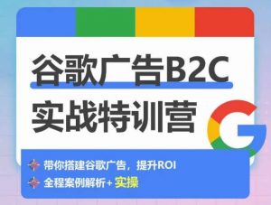 谷歌广告B2C实战特训营，500+谷歌账户总结经验，实战演示如何从0-1搭建广告账户-资源云
