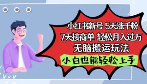 小红书影视泥巴追剧5天涨千粉,7天接商单,轻松月入过万,无脑搬运玩法【揭秘】-资源云