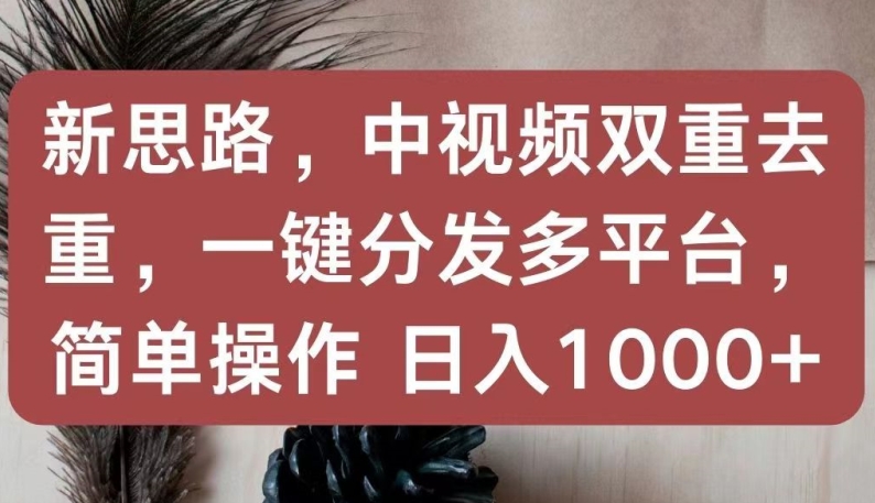 新思路，中视频双重去重，一键分发多平台，简单操作，日入1000+【揭秘】-资源云