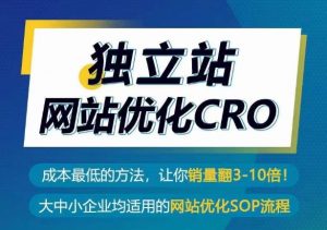 独立站网站优化CRO,成本最低的方法,让你销量翻3-10倍-资源云