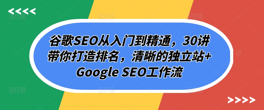 谷歌SEO从入门到精通，30讲带你打造排名，清晰的独立站+Google SEO工作流-资源云