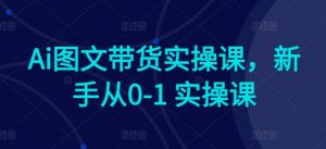 Ai图文带货实操课,新手从0-1 实操课-资源云