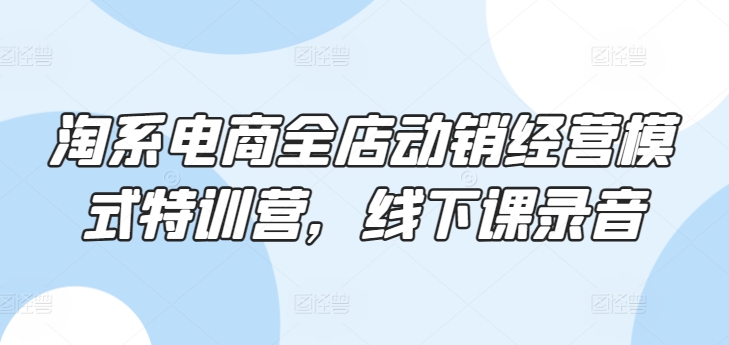 淘系电商全店动销经营模式特训营，线下课录音-资源云