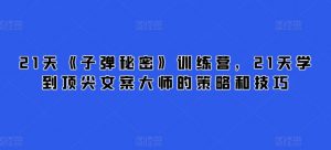 21天《子弹秘密》训练营，21天学到顶尖文案大师的策略和技巧-资源云