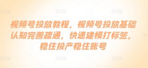 视频号投放教程,视频号投放基础认知完善疏通,快速建模打标签,稳住投产稳住账号-资源云