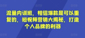 流量内训班,相信爆款是可以重复的,短视频营销大揭秘,打造个人品牌的利器-资源云