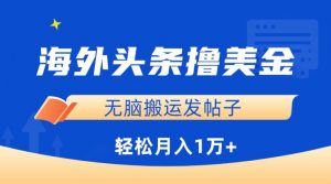 海外头条撸美金,无脑搬运发帖子,月入1万+,小白轻松掌握【揭秘】-资源云
