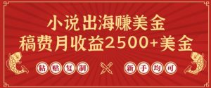 小说出海赚美金,稿费月收益2500+美金,仅需chatgpt粘贴复制,新手也能玩转【揭秘】-资源云
