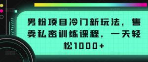 男粉项目冷门新玩法,售卖私密训练课程,一天轻松1000+【揭秘】-资源云