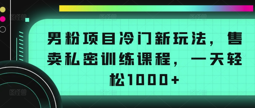 男粉项目冷门新玩法，售卖私密训练课程，一天轻松1000+【揭秘】-资源云