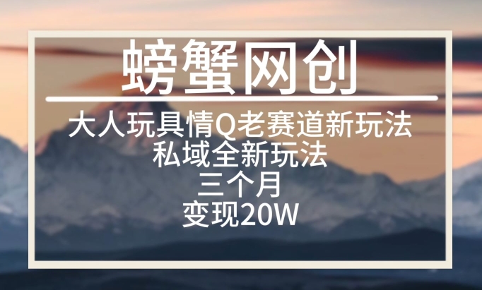 大人玩具情Q用品赛道私域全新玩法，三个月变现20W，老项目新思路【揭秘】-资源云