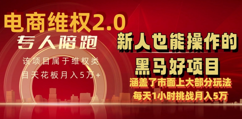 电商维权 4.0 如何做到月入 5 万+每天 1 小时新人也能快速上手【仅揭秘】-资源云