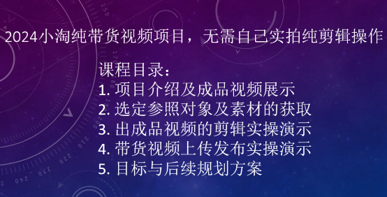 2024小淘纯带货视频项目，无需自己实拍纯剪辑操作-资源云