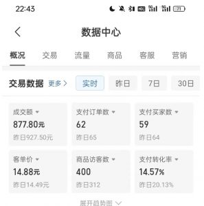 拼多多虚拟U盘电商红利项目：月赚2万+，新手小白也能玩-资源云