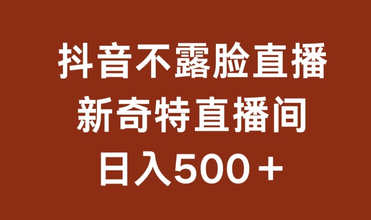 不露脸挂机直播，新奇特直播间，日入500+【揭秘】-资源云