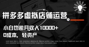 拼多多虚拟店铺运营小白也能月收入10000+【揭秘】-资源云