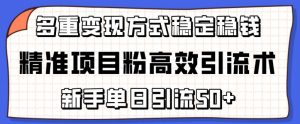 精准项目粉高效引流术,新手单日引流50+,多重变现方式稳定赚钱【揭秘】-资源云