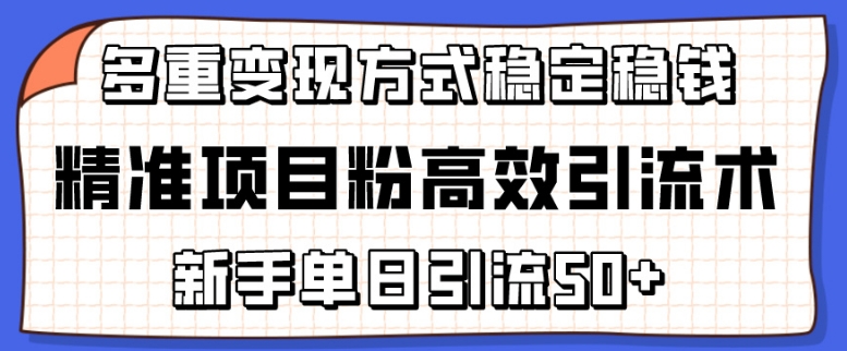 精准项目粉高效引流术，新手单日引流50+，多重变现方式稳定赚钱【揭秘】-资源云