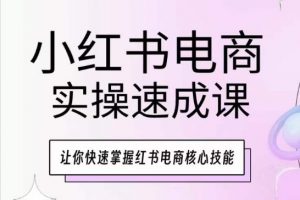 小红书电商实操速成课,让你快速掌握红书电商核心技能-资源云