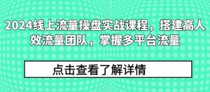 2024线上流量操盘实战课程,搭建高人效流量团队,掌握多平台流量-资源云