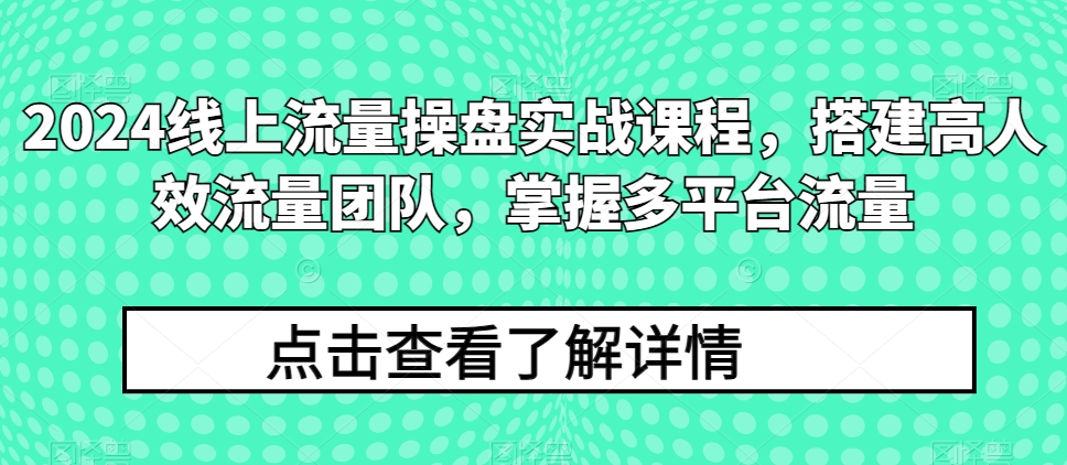 2024线上流量操盘实战课程，搭建高人效流量团队，掌握多平台流量-资源云
