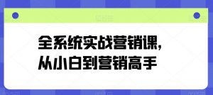 全系统实战营销课，从小白到营销高手-资源云