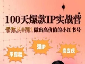 小红书100天爆款IP实战营，带你从0到1做出高价值的小红书号-资源云