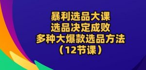 暴利选品大课:选品决定成败,教你多种大爆款选品方法(12节课)-资源云