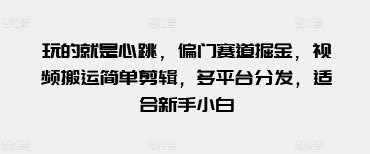 玩的就是心跳，偏门赛道掘金，视频搬运简单剪辑，多平台分发，适合新手小白【揭秘】-资源云