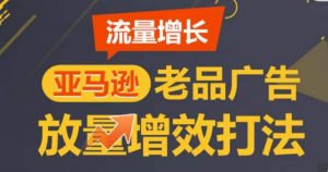 亚马逊流量增长-老品广告放量增效打法,循序渐进,打造更多TOP listing-资源云