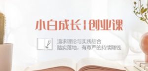 小白成长创业课:追求理论与实践结合,踏实落地,有尊严的持续赚钱-42节-资源云