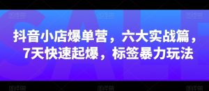 抖音小店爆单营,六大实战篇,7天快速起爆,标签暴力玩法-资源云